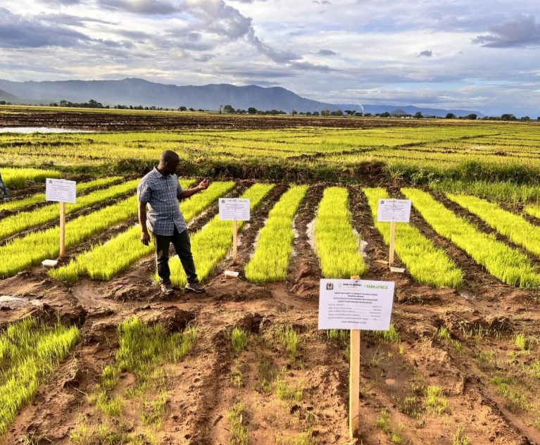 Access to Quality Agrochemicals and Farm Inputs: A Key to Agricultural Productivity in Tanzania