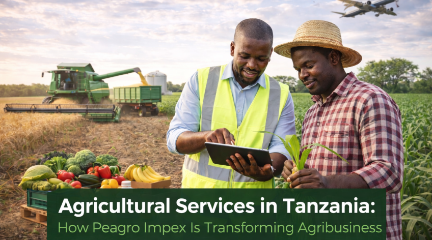 Agricultural Services in Tanzania: How Peagro Impex Is Transforming Agribusiness
