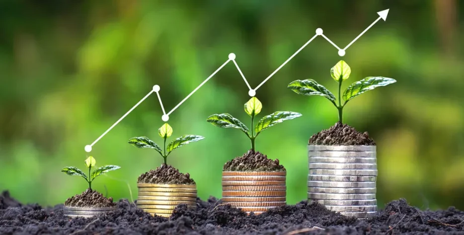 Our agrifinance services improve access to financial support for farmers and agribusiness actors to grow sustainably.