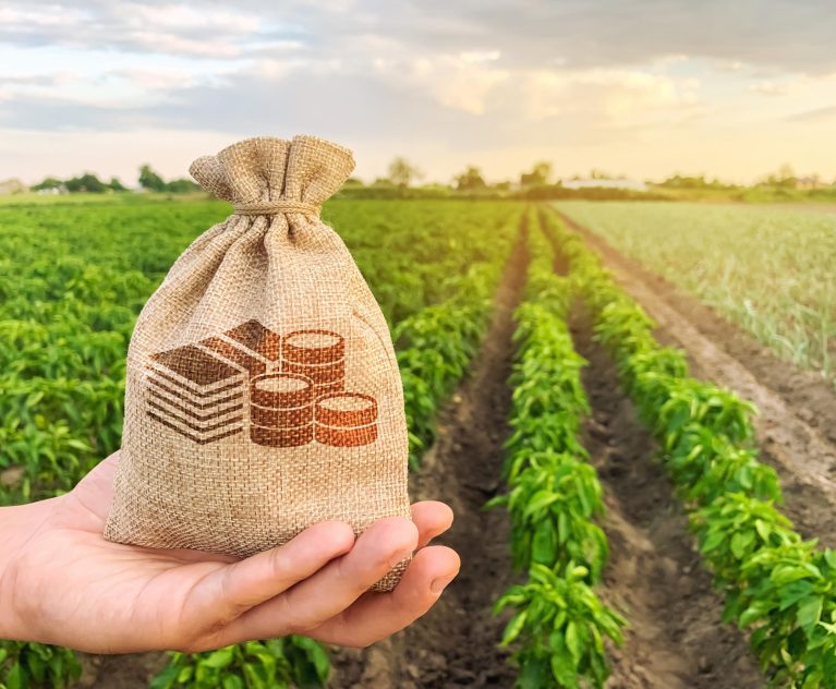 How Agrifinance and Consultancy Services Empower Farmers and Agribusinesses
