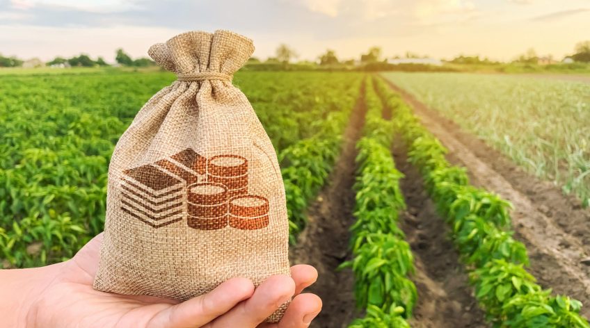 How Agrifinance and Consultancy Services Empower Farmers and Agribusinesses