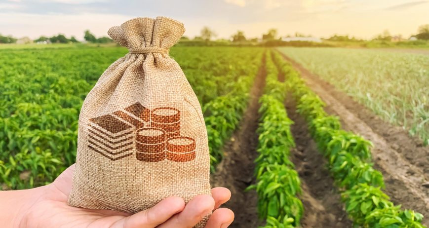 How Agrifinance and Consultancy Services Empower Farmers and Agribusinesses